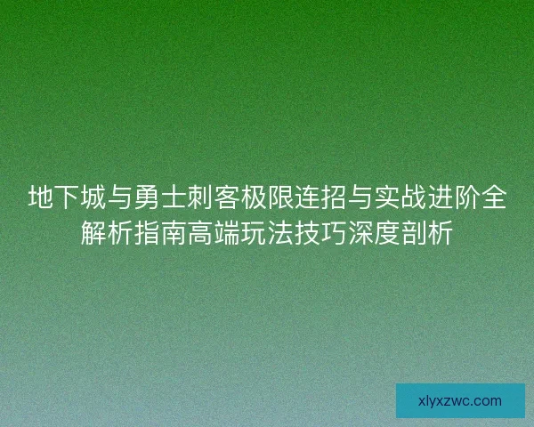 地下城与勇士刺客极限连招与实战进阶全解析指南高端玩法技巧深度剖析